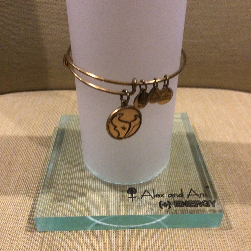 Alex And Ani “Houston Texans” NFL Charm Bangle Bracelet